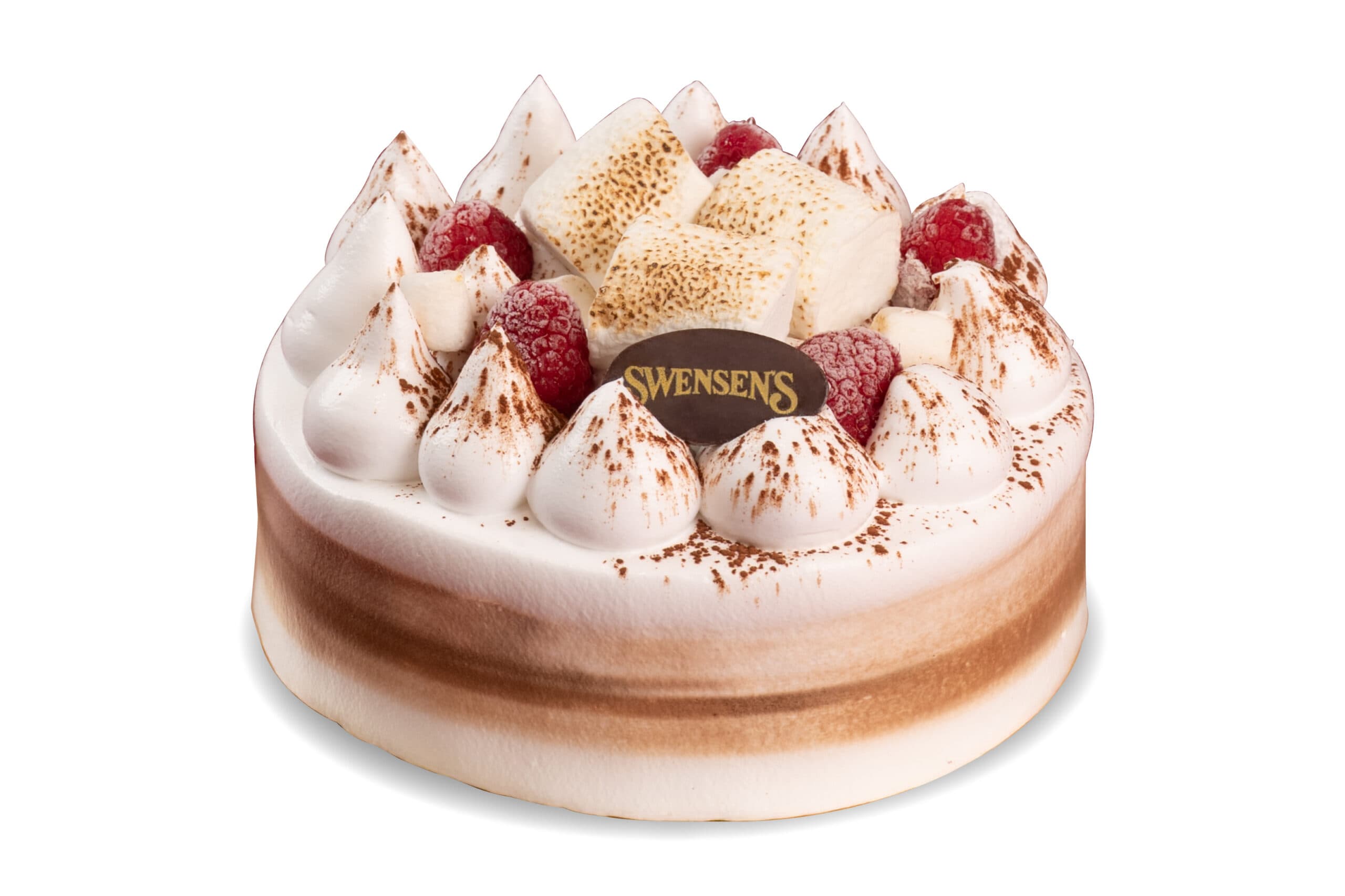 Winter Campfire round cake topped with toasted marshmallows and raspberries